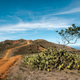 Illustration for article titled Adventure: Trans-Catalina Island Trail